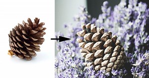 10 Ideas for Taking Amazing Photos of Boring Objects