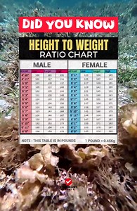 DID YOU KNOW: HEIGHT TO WEIGHT RATIO CHART | Checklist Studio