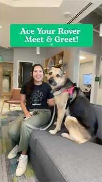 Rover Meet & Greets: Build Trust & Get Those Bookings!