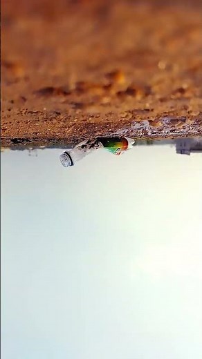 deadly crush video - YouTube