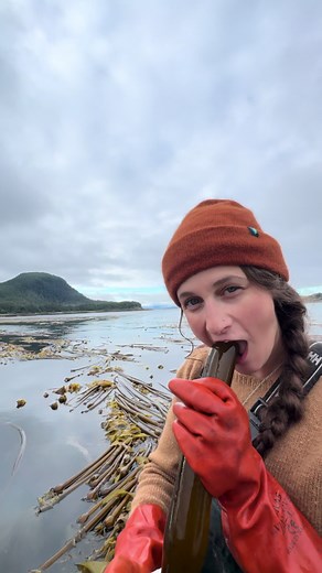 Discover Kelp's Unique Umami Flavor and Nutritional Benefits