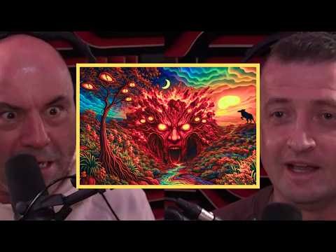 Joe Rogan: People Are Seeing “Entities” on DMT… Are They Real?