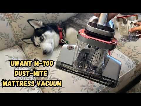 UWANT M700: Dust‑Mite Vacuum for a Hypoallergenic Whole‑House Routine