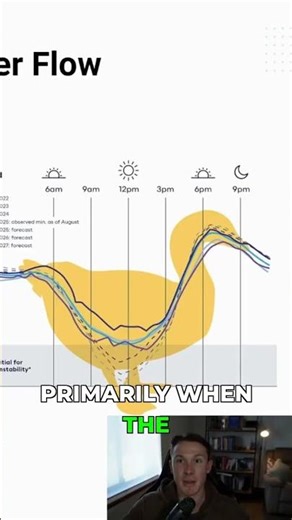 What Happens When Electricity Flows BACKWARDS #grid #solarpanels #duckcurve