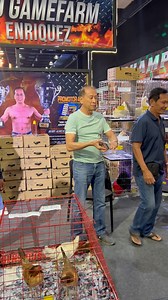 23K views · 506 reactions | World Gamefowl Expo Day 3- Part2 | Nurse Breeder | Facebook