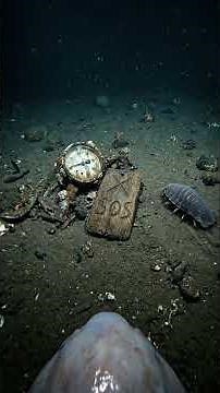 Blobfish POV: Tiny Camera Reveals a Strange Deep Sea World 😳🐟 #microexploration #fishing #tinyworld