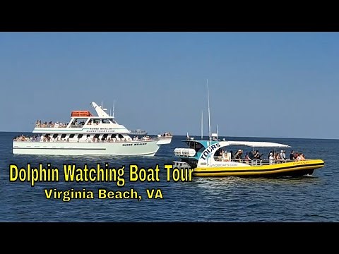 Dolphin Watching Boat Tour at the Virginia Aquarium