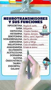 Aprende los neurotransmisores y sus funciones.