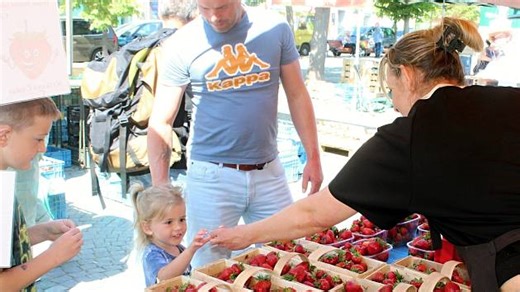 Jahody na trhu v Čáslavi zdražily kvůli dešti. Očekává se další růst cen