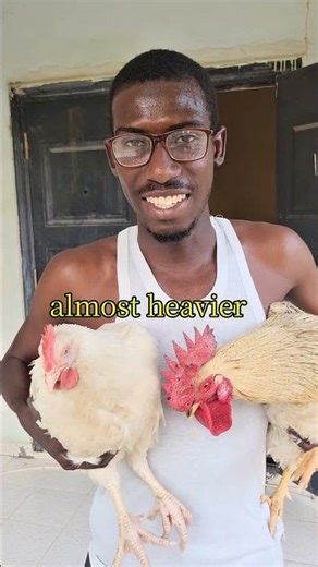 which one taste better #shorts #subscribe #chicken #chikenrecipe #chickenfood