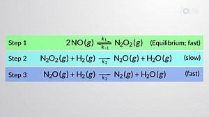 Video: Reaction Mechanisms