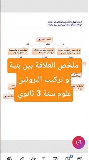 ملخص العلاقة بين بنية و تركيب البروتين علوم سنة 3 ثانوي #بكالوريا2026 #علوم #اكسبلور