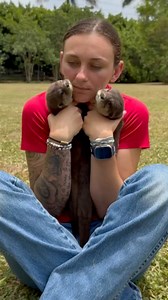 214K views · 8.4K reactions | Visit The BEST Walkthrough SAFARI in All of Florida!This weekend is filling up fast Book NOW at AnimalEDventures.com拾SUMMER SPECIAL: $25/person Monkey, Sloth &Kangaroo Encounter Included + All Feed!Until 8/31 - RESERVATION ONLY‼️‼️Use code FREEDOM for 15% OFF any tour or add-on! Promo Code Expires Tonight! Want To Play w/OTTERS? Check out the VIP TourLocated in Boynton Beach Fl | Animal EDventure Park & Safari | Facebook