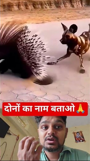 #TIMELAPSE​; START FINISH Alone BUILDLOG Cabin (Wooden House)HowTo Build Wooden Cabin Surviva P101