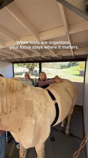 Why Preparation Matters in Biofeedback Session Setup