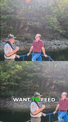Is Lake Ouachita the GREENEST Destination in Arkansas?