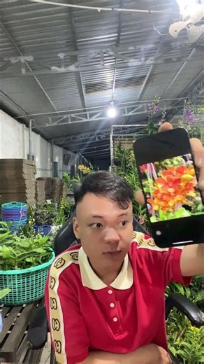 (Tham Khảo Mặt Hoa ) Hotline:090.317.7978 ☎️☎️