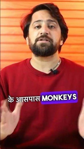 Solar 101 | FAQ | How To keep Solar Panels Safe From Monkeys 🙉