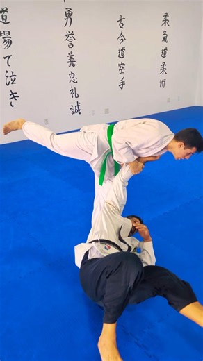 Harai Goshi || Sweeping Hip Throw