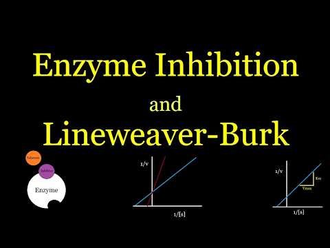 Enzyme Inhibition Made Easy (Km, Vmax, Lineweaver–Burk)
