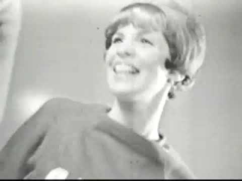 1960s Classic TV Commercial: Libby's Sloppy Joe