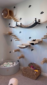 671K views · 32K reactions | A TOUR OF OUR CAT ROOM | Dontstopmeowing | Facebook