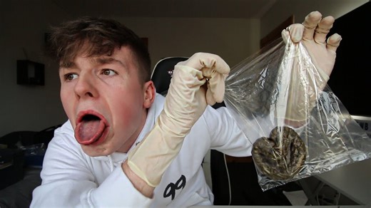Someone mails me a bag of poop in a shocking prank
