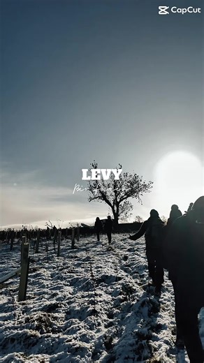 🐎 On the Road to Net Zero! ♻️ Our team from Carlisle Racecourse recently had an incredibly insightful visit to the Levy Bio Hub at Ings Farm. This innovative demonstration site is a fantastic resource, helping us explore cutting-edge practices to improve productivity, sustainability, environmental impact, and resilience across our operations. Learning about the research being done here is vital as we work towards our goal of achieving net zero emissions. Huge thanks to the Levy team for the tou