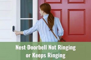 Nest Doorbell Not Ringing or Keeps Ringing - Ready To DIY