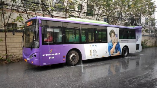 柴油申沃七系SWB6117MG4大茄子色