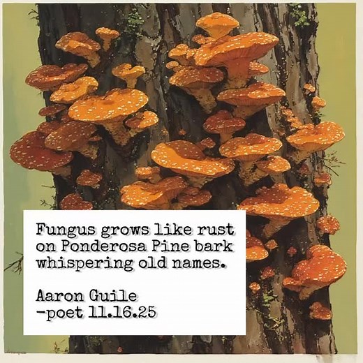 Rust #poetry #poet #poem | Aaron Guile