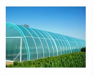 [Hot Item] Greenhouse Film Greenhouse Polythene Film Israel Plastik Film for Greenhouse Plastic Agricultural