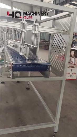 automatic case packaging machine for edible oil bottles with servo bottle separation system