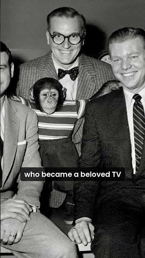 The Story of J. Fred Muggs: The Chimp Who Co-Hosted NBC’s Today Show