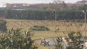🌪 :O Ecco qua svelato il filmato del 1° #tornado italiano 2021 sviluppatosi nella zona di #Ladispoli da una tromba marina a largo che ha poi toccato terra facendo alcuni danni a Palo Laziale. Video di Stefano Zoccali - Tornado in Italia - | Tornado in Italia