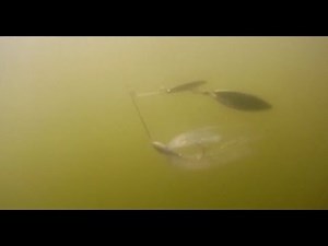 Spinnerbait Fishing for Bass- Prime Conditions