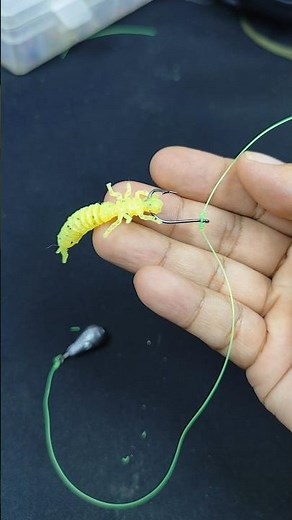 A Pro Angler Showed Me This Soft Lure Setup — Fish Instantly Hit