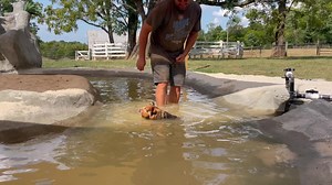 The most tenacious ray of sunshine that ever lived… Live Like Zippy❤️ | Ziggy's Refuge Farm Sanctuary