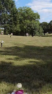 17K views · 495 reactions | Visiting the grave of singer and musical artist Dobie Gray at Woodlawn Memorial Park in Nashville, Tennessee. #famousgraves #cemetery #nashville | Freyzel Productions | Facebook