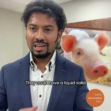 Swine Industry Advances: Biodigesters Lower Emissions and Increase Profits