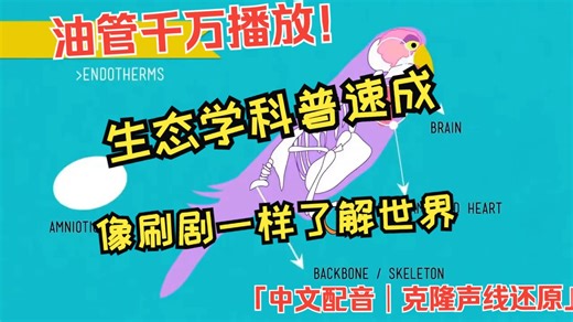 油管千万播放|全网首译！Crash Course生态学中配版来了！克隆声线神还原｜系列预告