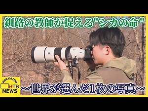 【世界が選んだ一枚】死を纏うエゾシカの角 日本人初の快挙、釧路の教師が語る”命のやり取り”