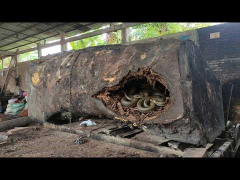 Inside a $50,000 Live Edge Slab