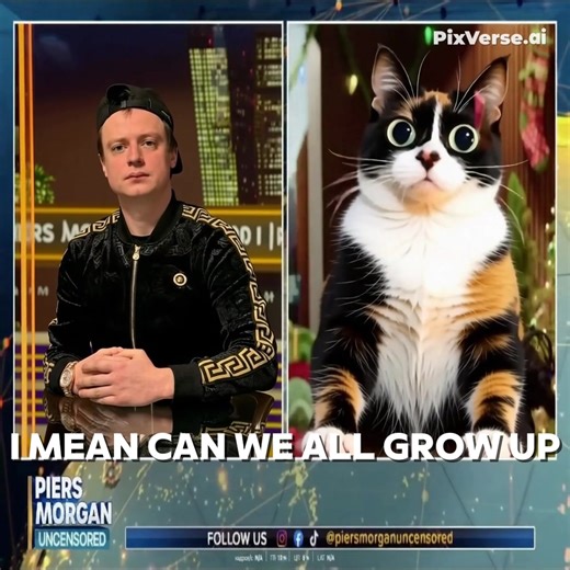 #куки #котость #мэллстрой #мем