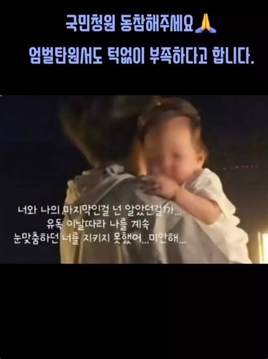 국민청원 동참 요청 및 엄벌 탄원서 부족 문제