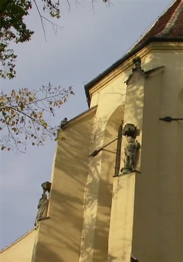 The Cradles of Culture S01:E03 - Madagascar Rainforest and Ambohimanga