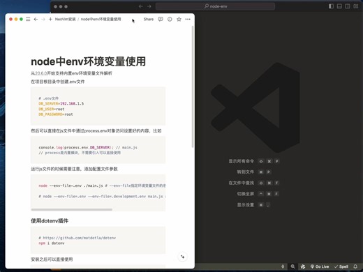 node中的环境变量问题