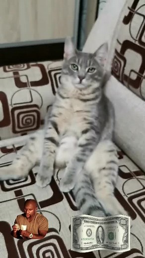 #Тихнонблогер #Британец #ПодаркиСАлисой #покайфу