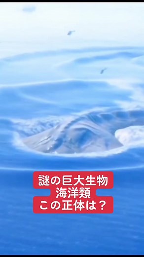海の謎解き！巨大生物図鑑