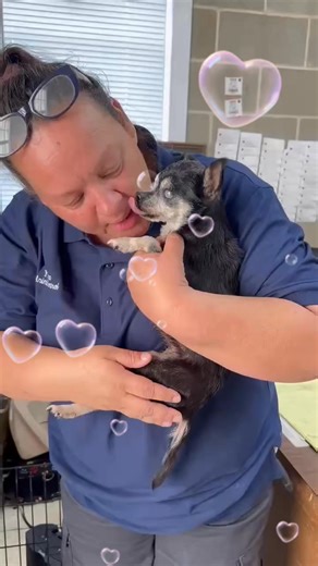 4.8K views · 96 reactions | This message is from Shannon, soon to be...